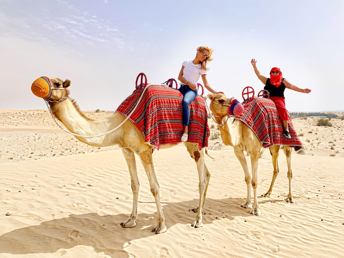 dubai, camels, dessert, safari, grandma, travel