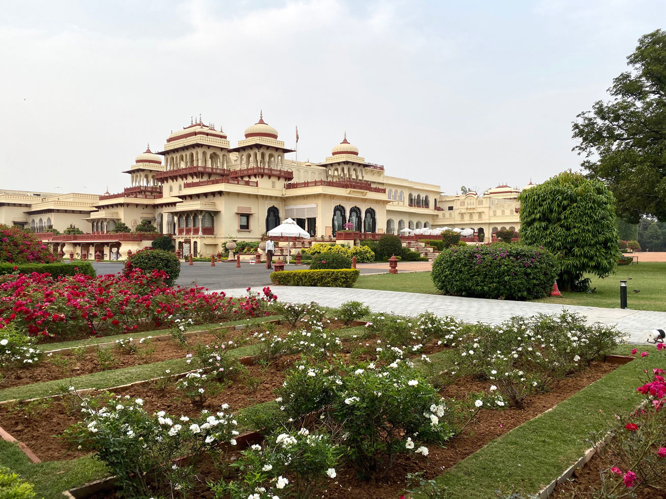 rambagh, palace, india, jaipur